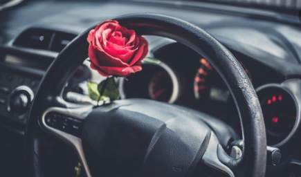 دراسة تنصح بوضع الزهور داخل السيارة