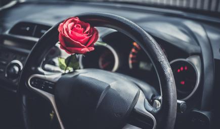  ماذا يقول علم طاقة المكان عن وضع الورد في السيارة؟