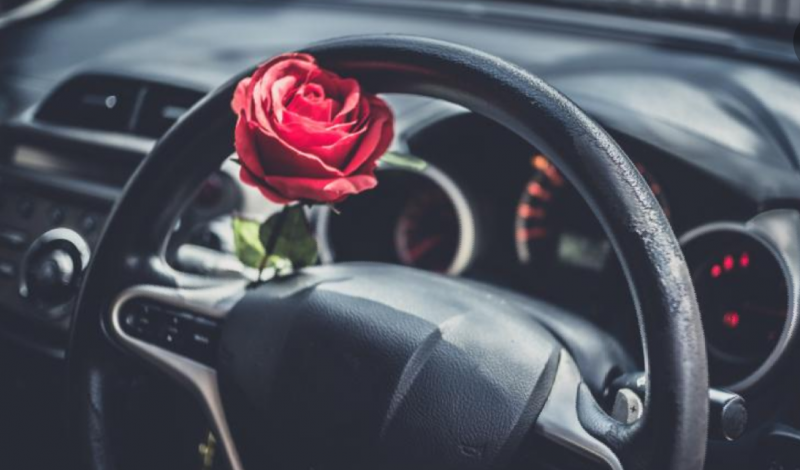 دراسة تنصح بوضع الزهور داخل السيارة